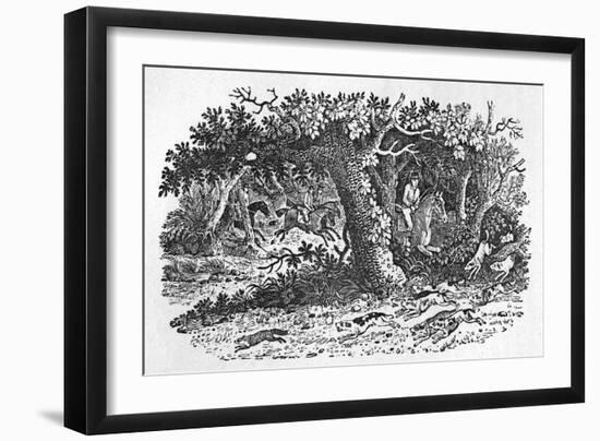 The Fox Turns-Thomas Bewick-Framed Art Print