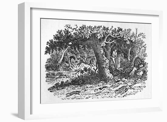 The Fox Turns-Thomas Bewick-Framed Art Print