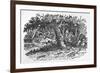 The Fox Turns-Thomas Bewick-Framed Art Print