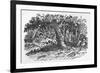 The Fox Turns-Thomas Bewick-Framed Premium Giclee Print