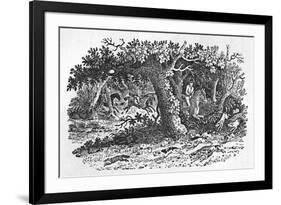 The Fox Turns-Thomas Bewick-Framed Premium Giclee Print