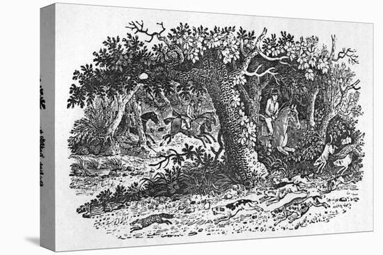 The Fox Turns-Thomas Bewick-Stretched Canvas