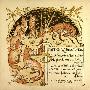 Just the Print