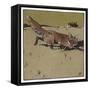 The Fox-Ludwig Hohlwein-Framed Stretched Canvas