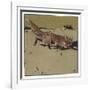 The Fox-Ludwig Hohlwein-Framed Photographic Print