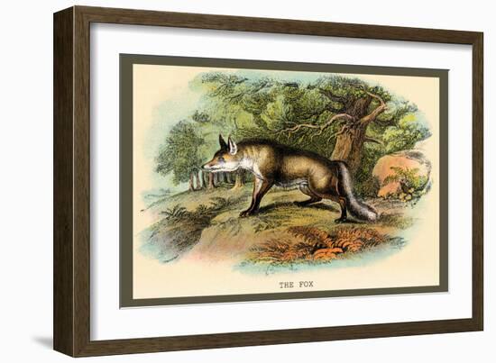 The Fox-Sir William Jardine-Framed Art Print