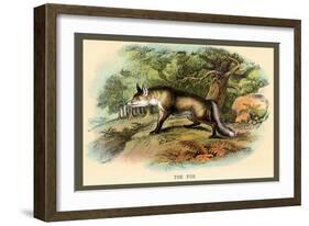 The Fox-Sir William Jardine-Framed Art Print