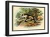 The Fox-Sir William Jardine-Framed Art Print