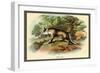 The Fox-Sir William Jardine-Framed Art Print