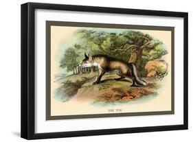 The Fox-Sir William Jardine-Framed Art Print