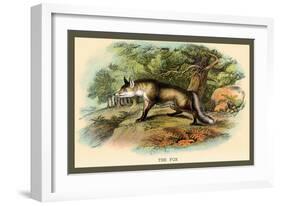 The Fox-Sir William Jardine-Framed Art Print