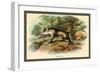 The Fox-Sir William Jardine-Framed Premium Giclee Print