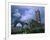 The Franciscan Built Clare Galway Abbey, Connaught, Ireland-Richard Cummins-Framed Photographic Print