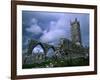 The Franciscan Built Clare Galway Abbey, Connaught, Ireland-Richard Cummins-Framed Photographic Print