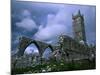 The Franciscan Built Clare Galway Abbey, Connaught, Ireland-Richard Cummins-Mounted Photographic Print