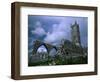 The Franciscan Built Clare Galway Abbey, Connaught, Ireland-Richard Cummins-Framed Photographic Print