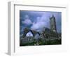 The Franciscan Built Clare Galway Abbey, Connaught, Ireland-Richard Cummins-Framed Photographic Print