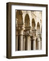 The Franciscan Monastery, Dubrovnik, UNESCO World Heritage Site, Dubrovnik-Neretva County, Croatia,-Emanuele Ciccomartino-Framed Photographic Print