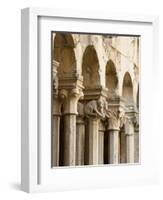 The Franciscan Monastery, Dubrovnik, UNESCO World Heritage Site, Dubrovnik-Neretva County, Croatia,-Emanuele Ciccomartino-Framed Photographic Print