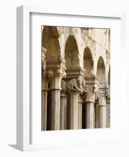 The Franciscan Monastery, Dubrovnik, UNESCO World Heritage Site, Dubrovnik-Neretva County, Croatia,-Emanuele Ciccomartino-Framed Photographic Print