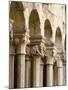 The Franciscan Monastery, Dubrovnik, UNESCO World Heritage Site, Dubrovnik-Neretva County, Croatia,-Emanuele Ciccomartino-Mounted Photographic Print
