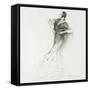 The Freedom to Move II-Marysia Marysia-Framed Stretched Canvas