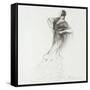 The Freedom to Move II-Marysia Marysia-Framed Stretched Canvas