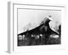 The French-Built Concorde Takes Off on a Trial Flight at Toulouse, France, Dec 6, 1975-null-Framed Photo