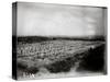 The French Cemetery at Plateau de Californie, Craonne, 1917-Jacques Moreau-Stretched Canvas