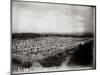 The French Cemetery at Plateau de Californie, Craonne, 1917-Jacques Moreau-Mounted Photographic Print