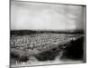 The French Cemetery at Plateau de Californie, Craonne, 1917-Jacques Moreau-Mounted Photographic Print