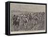The French Expedition in Madagascar-Joseph Nash-Framed Stretched Canvas