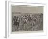 The French Expedition in Madagascar-Joseph Nash-Framed Giclee Print