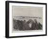 The French Fleet in the Mediterranean-null-Framed Giclee Print