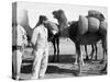 The French Foreign Legion on Manoeuvres, Boudenib, Morocco, 1911-null-Stretched Canvas