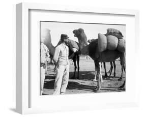 The French Foreign Legion on Manoeuvres, Boudenib, Morocco, 1911-null-Framed Giclee Print