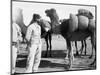 The French Foreign Legion on Manoeuvres, Boudenib, Morocco, 1911-null-Mounted Giclee Print