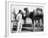 The French Foreign Legion on Manoeuvres, Boudenib, Morocco, 1911-null-Framed Giclee Print