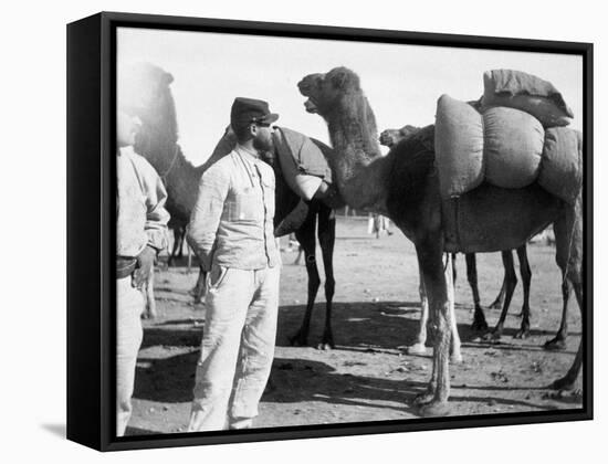 The French Foreign Legion on Manoeuvres, Boudenib, Morocco, 1911-null-Framed Stretched Canvas