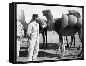 The French Foreign Legion on Manoeuvres, Boudenib, Morocco, 1911-null-Framed Stretched Canvas