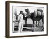 The French Foreign Legion on Manoeuvres, Boudenib, Morocco, 1911-null-Framed Giclee Print