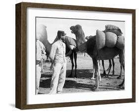 The French Foreign Legion on Manoeuvres, Boudenib, Morocco, 1911-null-Framed Giclee Print