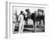 The French Foreign Legion on Manoeuvres, Boudenib, Morocco, 1911-null-Framed Giclee Print