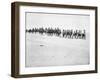 The French Foreign Legion on Manoeuvres, Boudenib, Morocco, 1911-null-Framed Giclee Print