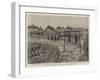 The French in Dahomey, the Execution of Dahomeian Prisoners of War-null-Framed Giclee Print