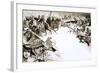 The French Invade Algeria-Angus Mcbride-Framed Giclee Print