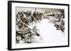 The French Invade Algeria-Angus Mcbride-Framed Giclee Print