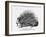 The French Porcupine, 1859-null-Framed Giclee Print