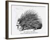 The French Porcupine, 1859-null-Framed Giclee Print