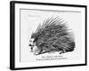 The French Porcupine, 1859-null-Framed Giclee Print